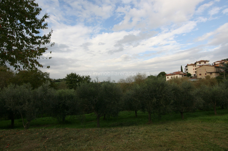 immagine annuncio 1 di 6