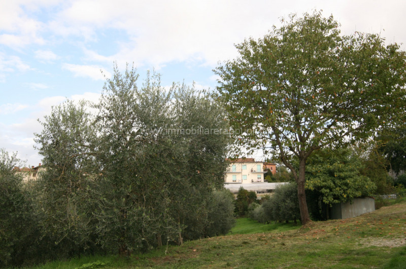 immagine annuncio 4 di 6