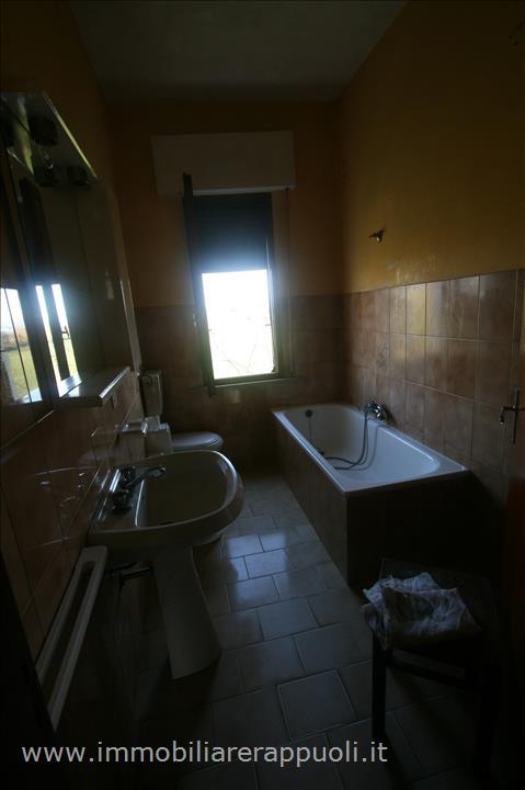 immagine annuncio 2 di 6