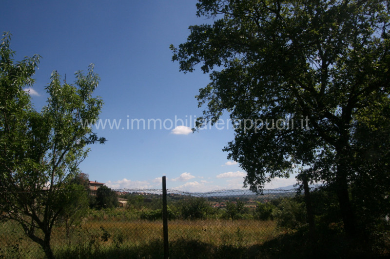 immagine annuncio 3 di 8