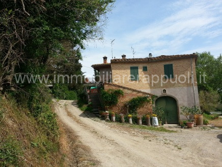 immagine annuncio 1 di 8