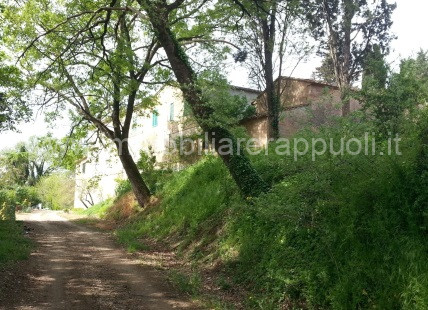 immagine annuncio 5 di 8