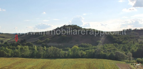 immagine annuncio 3 di 8