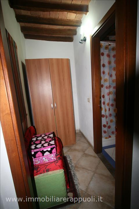 immagine annuncio 4 di 7