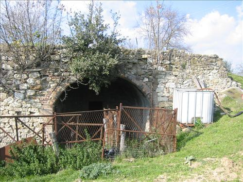immagine annuncio 2 di 9