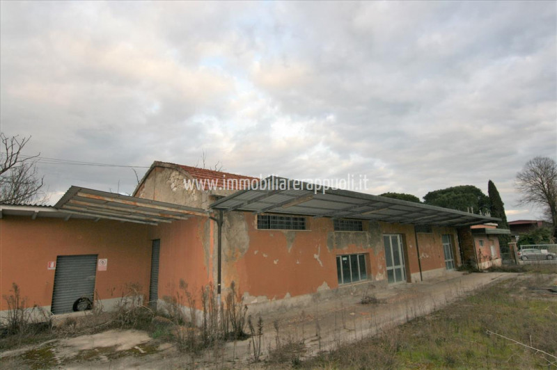 immagine annuncio 3 di 8