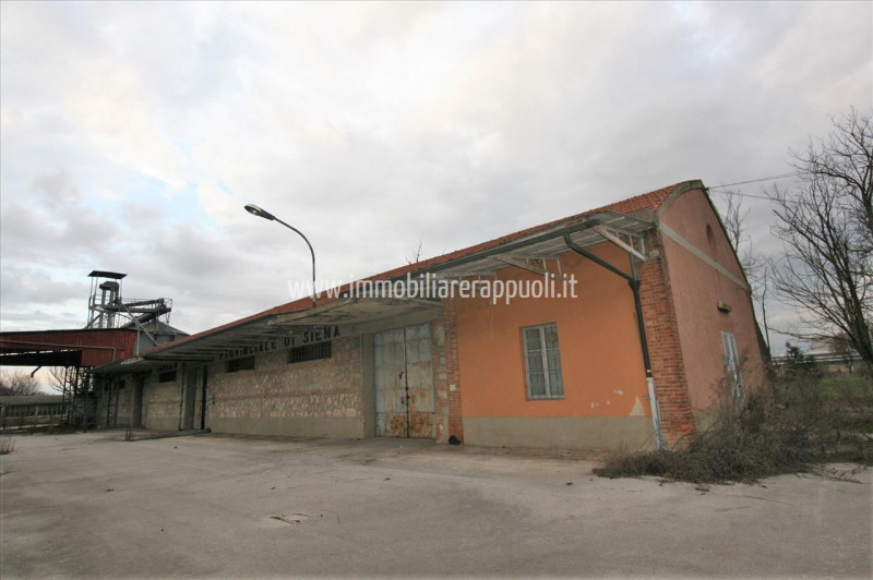 immagine annuncio 4 di 8