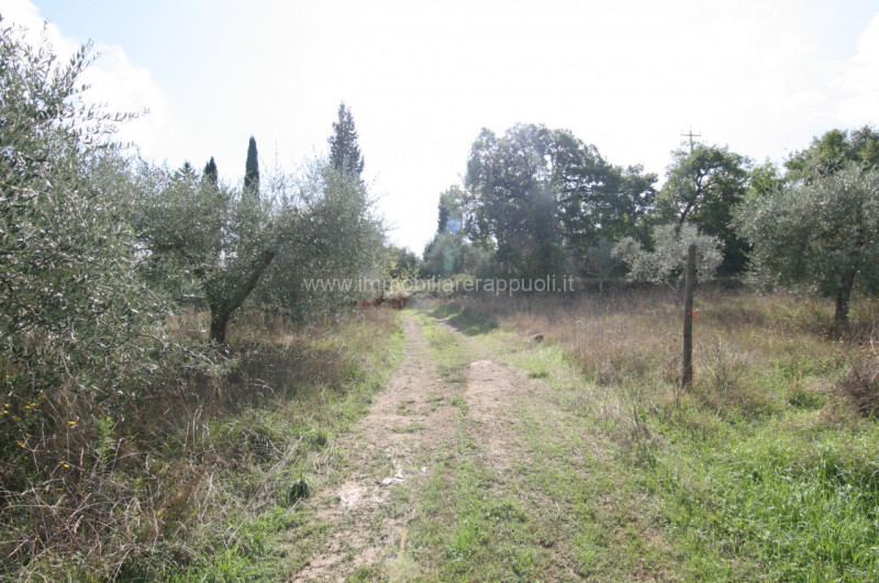 immagine annuncio 7 di 9