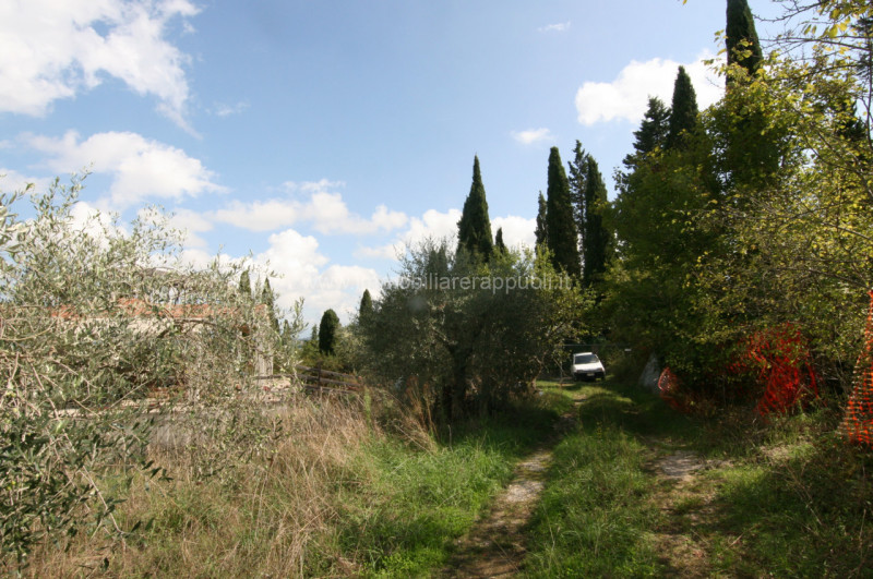 immagine annuncio 8 di 9