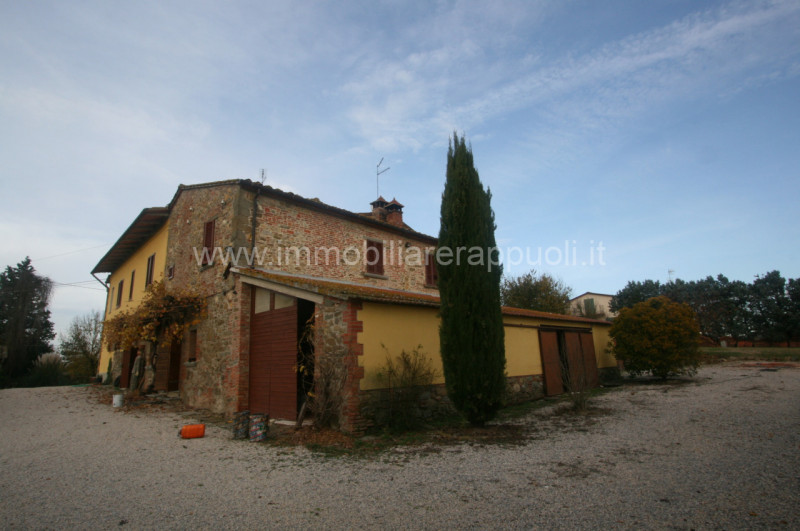 immagine annuncio 1 di 10