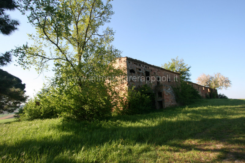 immagine annuncio 6 di 8
