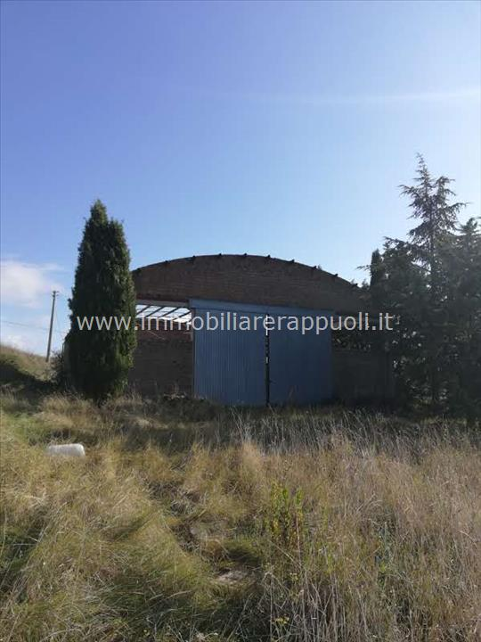 immagine annuncio 1 di 8