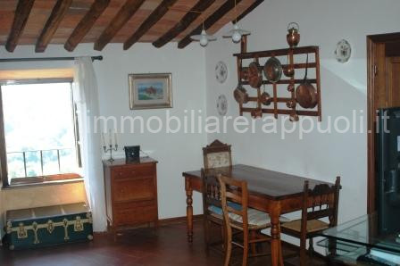immagine annuncio 4 di 7