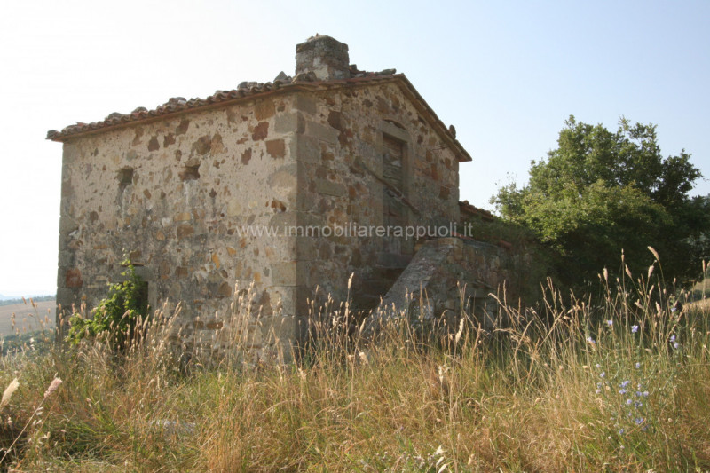 immagine annuncio 2 di 6
