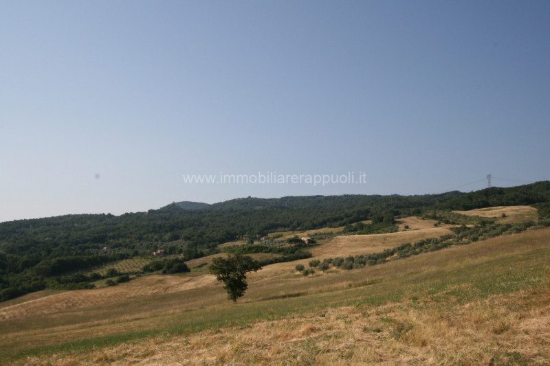 immagine annuncio 3 di 6