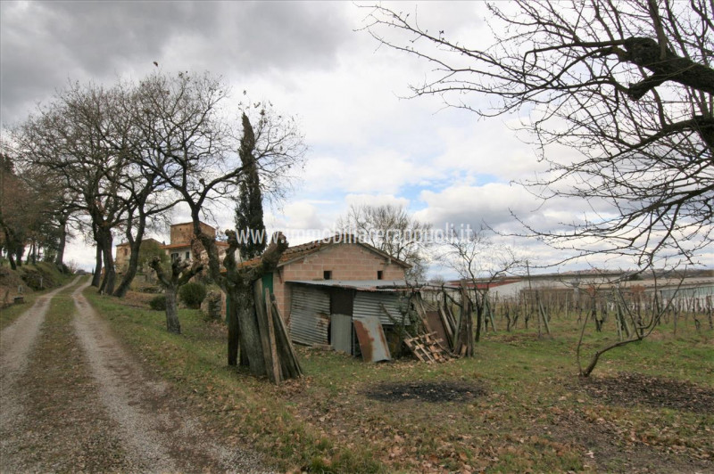 immagine annuncio 2 di 9