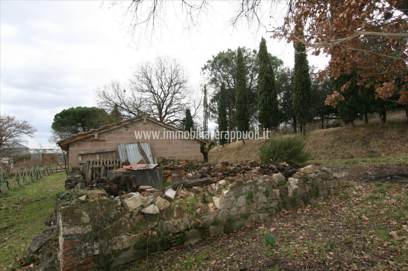 immagine annuncio 4 di 9