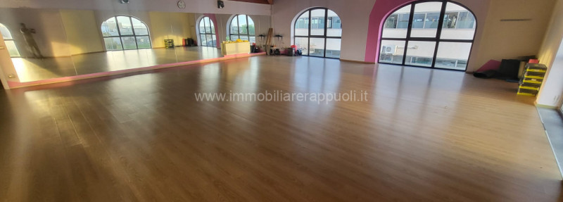 immagine annuncio 2 di 8