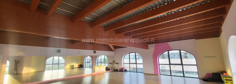 immagine annuncio 5 di 8