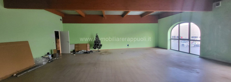 immagine annuncio 6 di 8