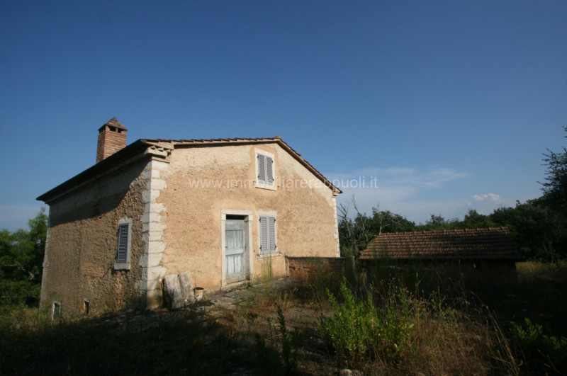 immagine annuncio 4 di 9