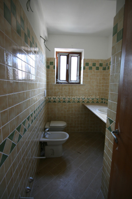 immagine annuncio 5 di 8