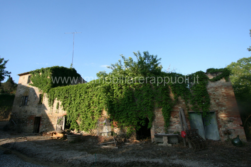 immagine annuncio 1 di 7