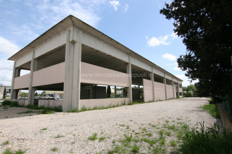 immagine annuncio 4 di 6