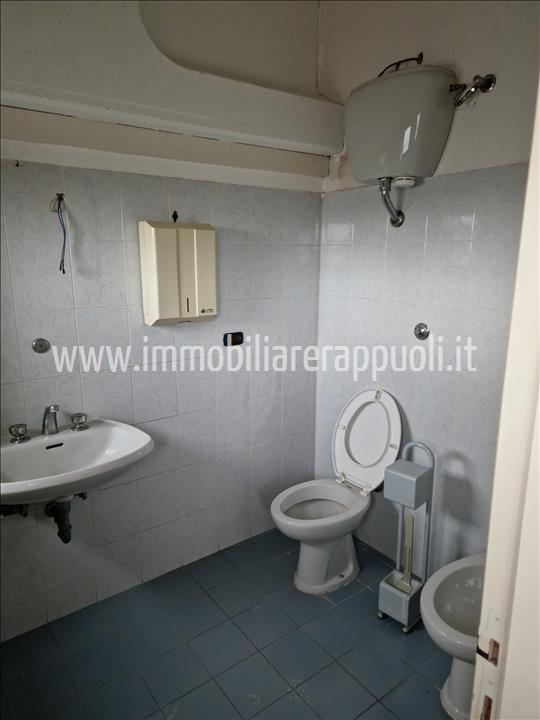 immagine annuncio 6 di 7