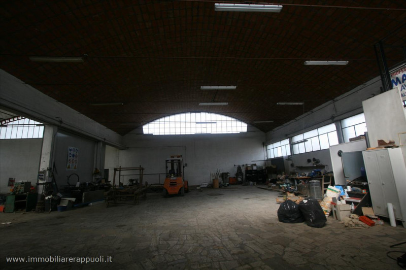 immagine annuncio 3 di 7