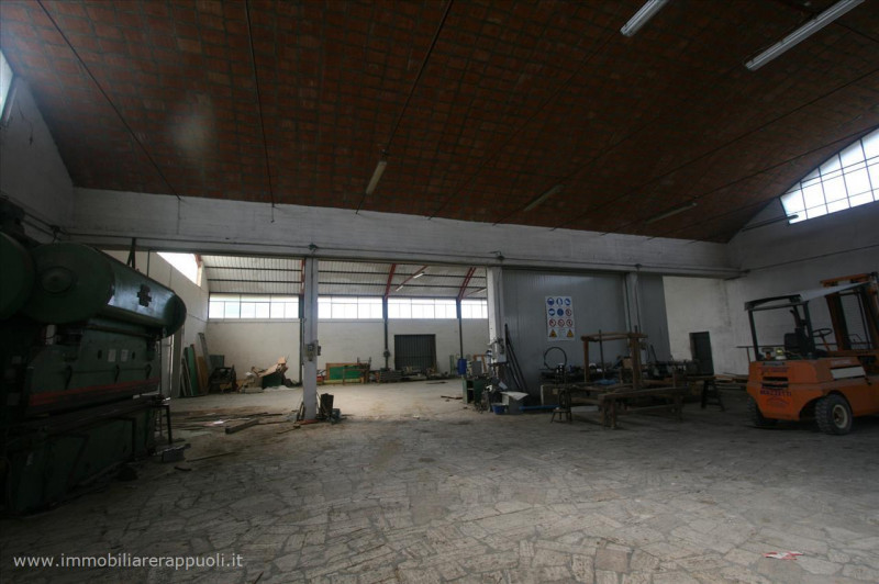 immagine annuncio 4 di 7