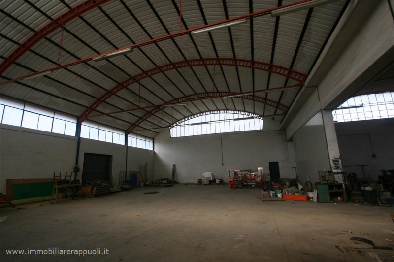 immagine annuncio 6 di 7