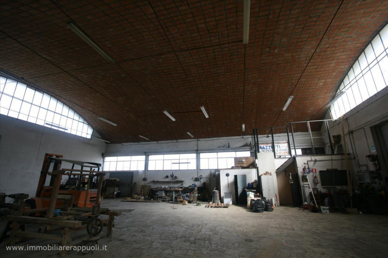 immagine annuncio 2 di 7