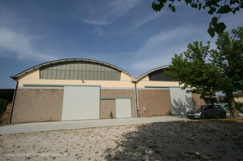 immagine annuncio 5 di 7