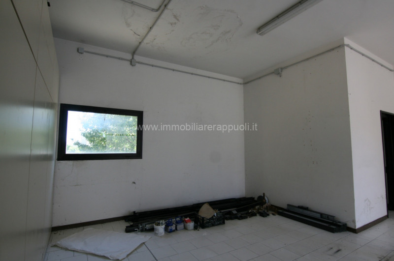 immagine annuncio 5 di 9