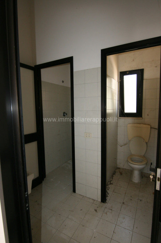 immagine annuncio 4 di 9