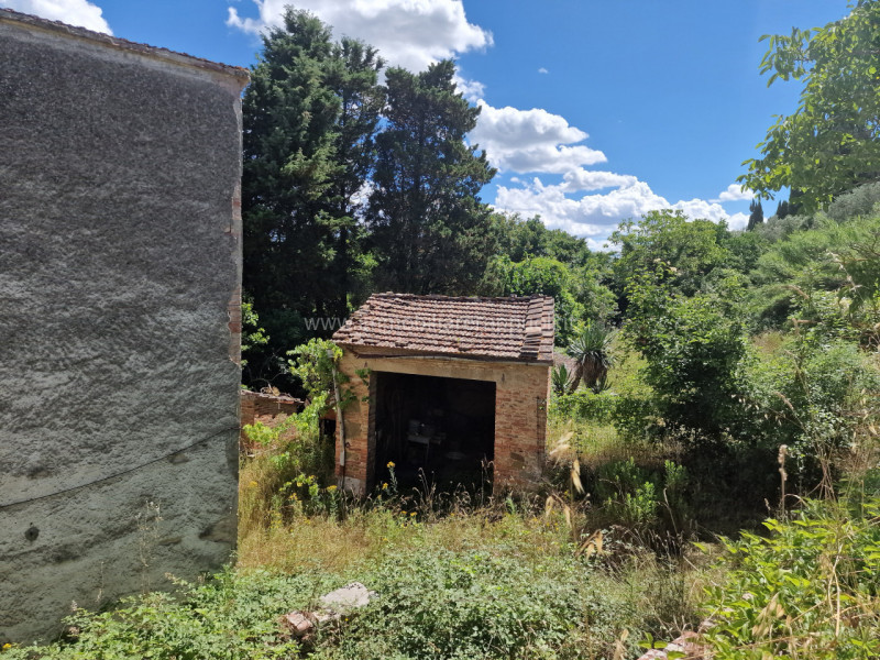 immagine annuncio 6 di 10