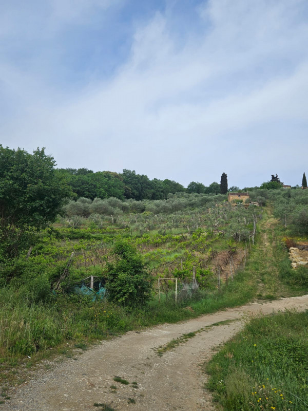immagine annuncio 5 di 10