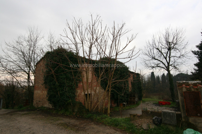 immagine annuncio 1 di 6