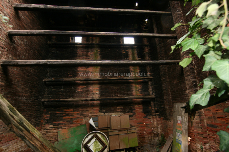 immagine annuncio 5 di 6