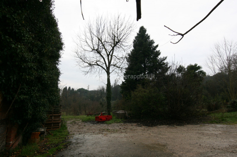 immagine annuncio 2 di 6