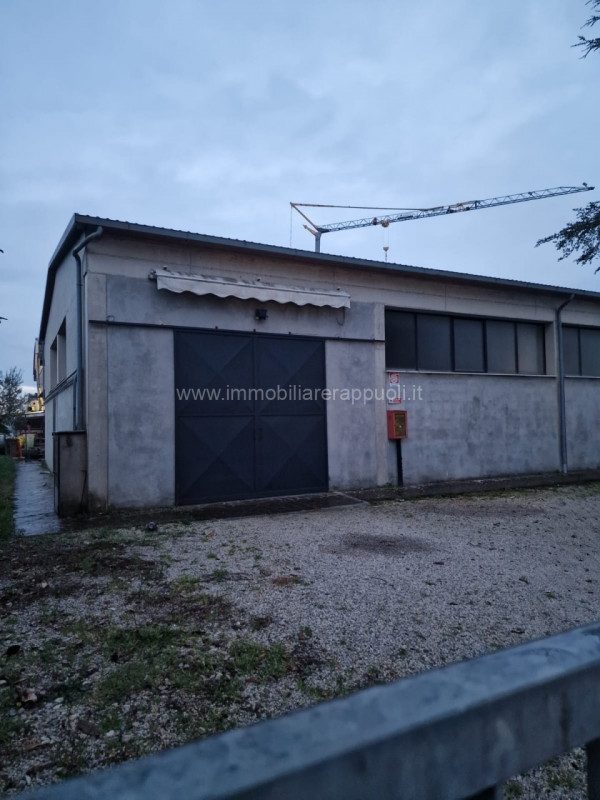 immagine annuncio 3 di 10