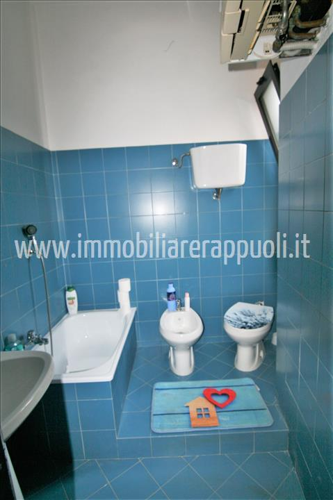 immagine annuncio 7 di 8