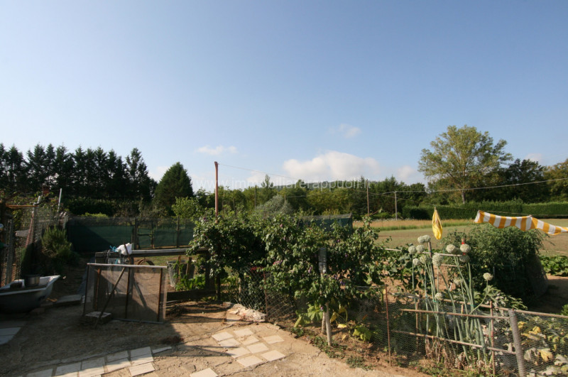 immagine annuncio 7 di 8