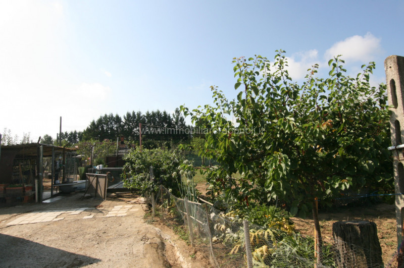 immagine annuncio 6 di 8