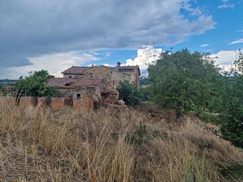 immagine annuncio 3 di 6