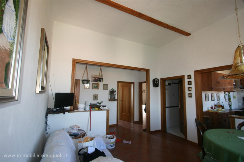 immagine annuncio 7 di 8