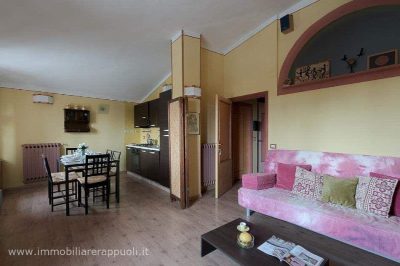 immagine annuncio 2 di 10