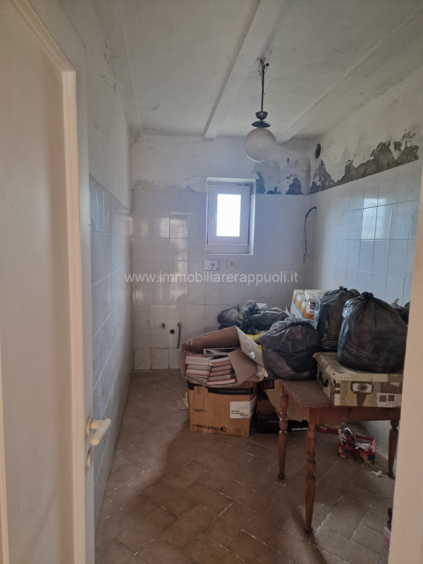 immagine annuncio 3 di 9