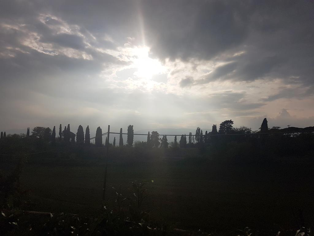 appartamento in vendita a Sovicille in zona San Rocco a Pilli